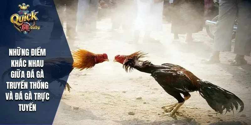 Những điểm khác nhau giữa đá gà truyền thống và đá gà trực tuyến