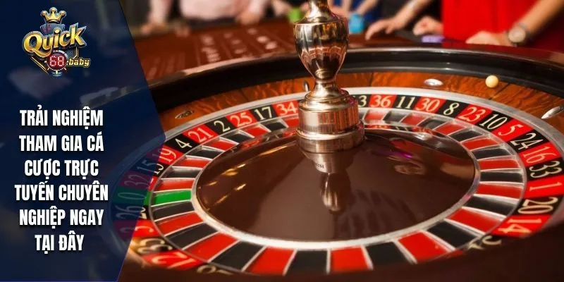 Trải nghiệm tham gia cá cược trực tuyến chuyên nghiệp ngay tại đây 