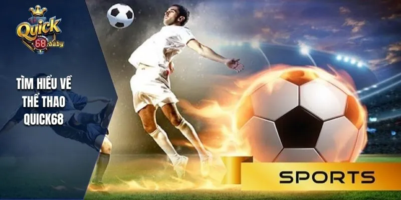 Khám phá thể thao QUICK68 